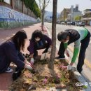 내덕1동 행정복지센터 이미지