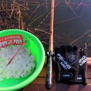 신봉 낚시터 이미지