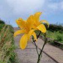 노고단-15 이미지