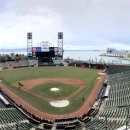 스타디움 이미지