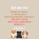 조천고깃간 네이버블로그