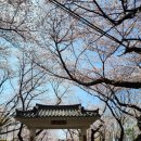 수봉양궁장 이미지