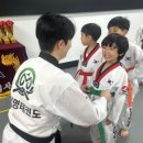 한국체대우리태권도 이미지