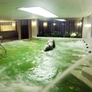 수목원생활온천 이미지