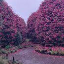 남원읍-25 이미지