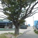 백포마을회관 이미지