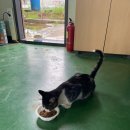 붉은주팩토리 이미지