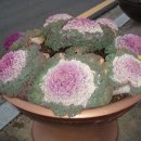 오동도관광호텔 이미지