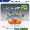 영일광고 이미지