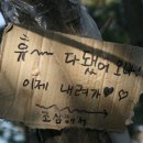 밧줄 경사로 이미지