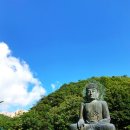 대불공원 우측 이미지