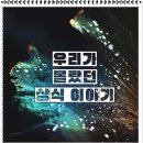 500돈 이미지