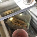오고파식당