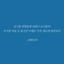 B&S 복싱 이미지