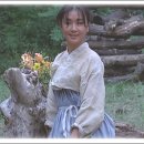 뻐꾸기PC 이미지