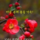 바람과 삶 이미지