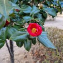 가장근린공원 이미지