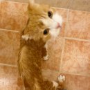 유기볼트 이미지