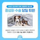 동감동물의료센터 이미지