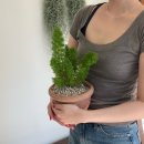 대곡시장 | [대구/달서구]대곡역 꽃집 추천ㅣ당일무인구매 꽃다발ㅣ꽃바구니 축하 화분 소담플로라 내돈내산 후기