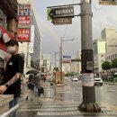 뉴에라 안양점 이미지