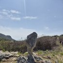 260426 산청 황매산(81),영암사터 쌍사자석등 이미지