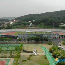 진천종합운동장 이미지