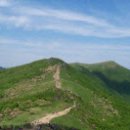 사하초교 앞 이미지