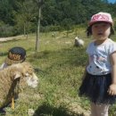 동규목장 네이버블로그