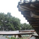상화원 Daum카페