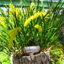 강원도립화목원 이미지