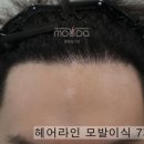 모우헤어