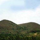 세화1리 이미지