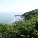 동선새바지 이미지