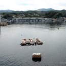 대진1리 대진해수욕장 이미지