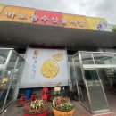 [마포 농수산물시장 맛집] 마포구청역 초밥 맛집 시온초밥 솔직 담백 후기 🍣