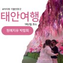 쥬라기동물병원 | 태안 치유 박람회 입장료 국내 5월 아이랑 가볼만한곳 여행지 추천