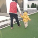 블루원 게임존 | 경주 누아르블랑 독채풀빌라 경주펜션 경주여행 경주숙소 추천