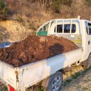 병길축사 이미지