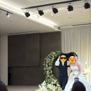 서귀포웨딩홀 | 제주도 결혼식 서귀포농협웨딩홀 하객 식사 후기