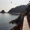 대왕암공원 캠핑장 이미지