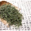 사람과한의원 네이버블로그