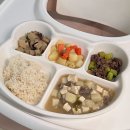 미니하우스 | 아기 도자기 식판 비교｜자연동화 곡물도자기 vs 디어미니하우스 오곰이 솔직 후기