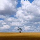 다르게 천천히 이미지