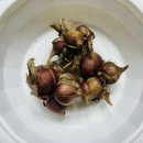 봉덕농장 이미지