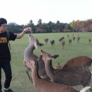 나도나도 이미지