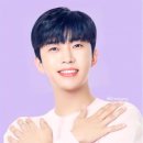 토담토담 이미지