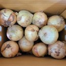 달큰한 무농약 저장용 양파 50% 맛보기 이벤트 이미지