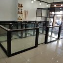 논산애견 이미지