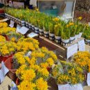 순애농장 이미지